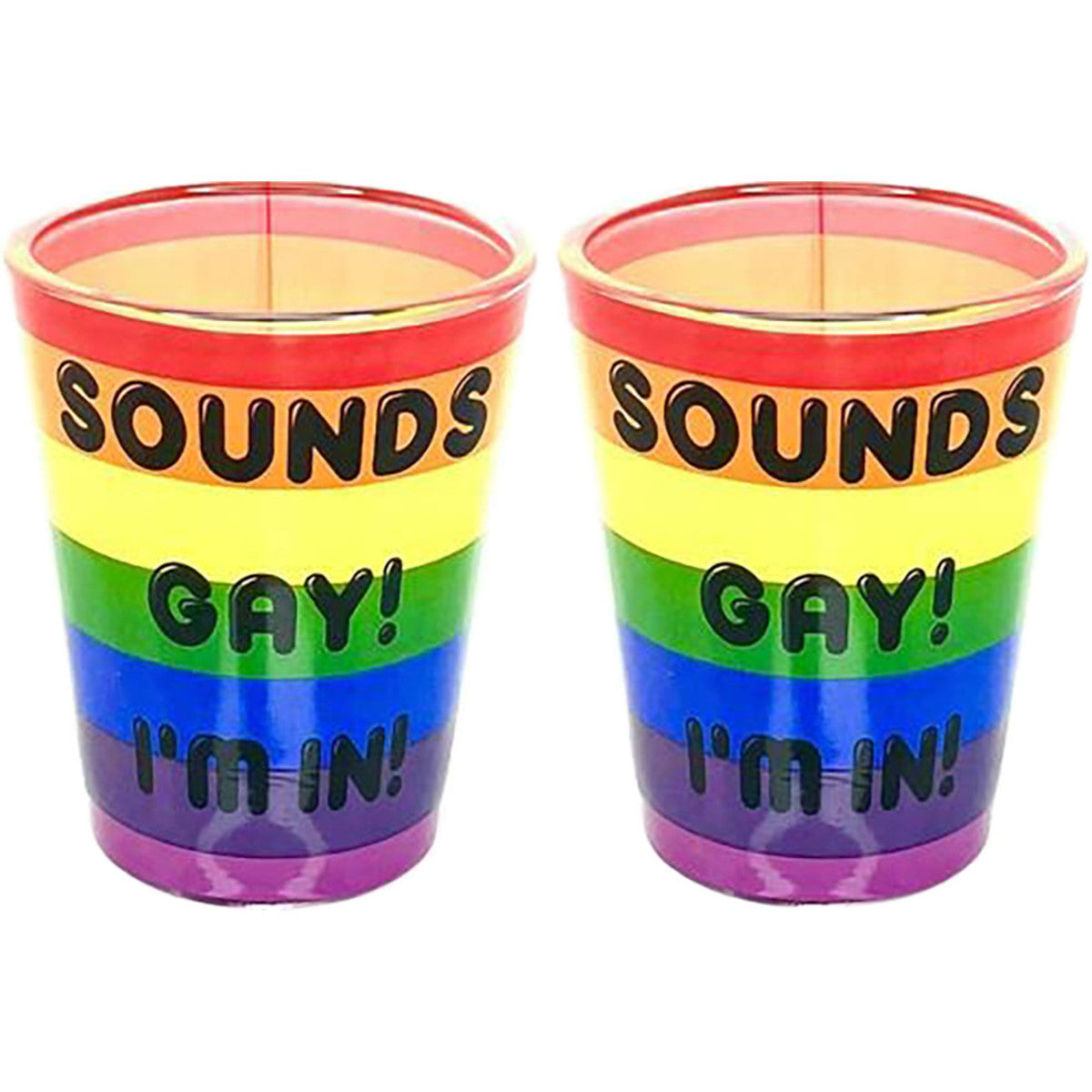 Sounds Gay Shot Glass | 2oz | 2pc Box